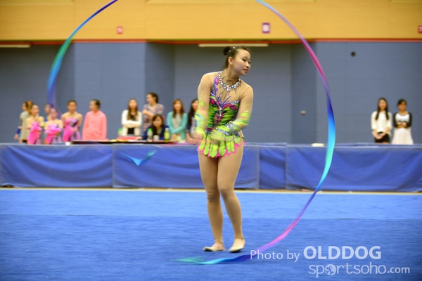 Gymnastics (373)