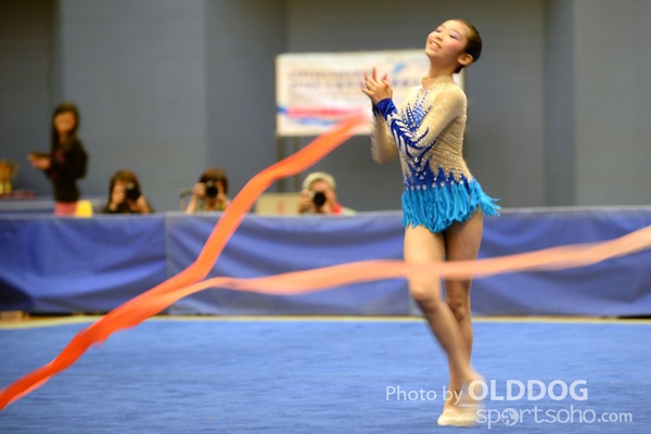 Gymnastics (374)