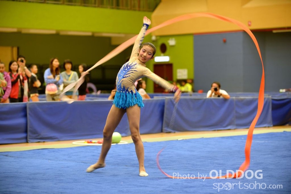 Gymnastics (375)