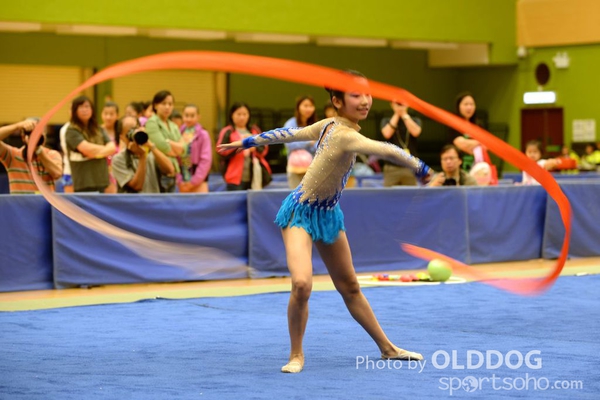 Gymnastics (376)