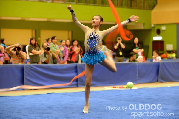 Gymnastics (377)