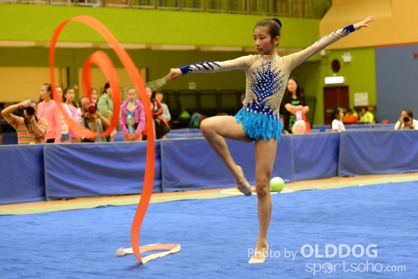 Gymnastics (378)