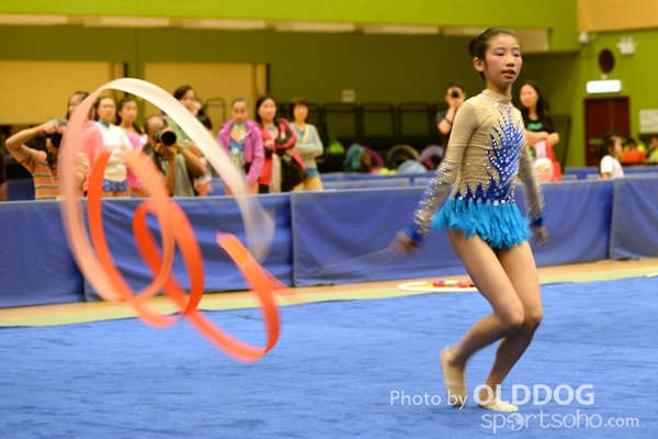 Gymnastics (379)