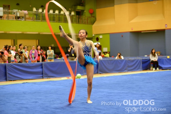 Gymnastics (380)