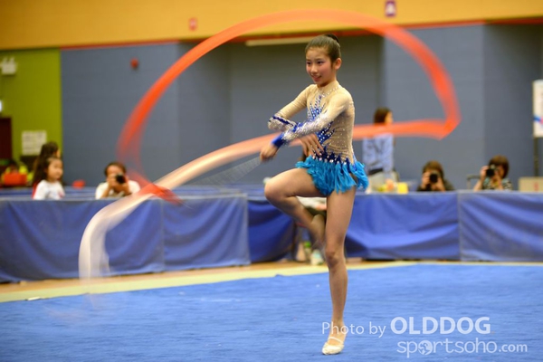 Gymnastics (382)