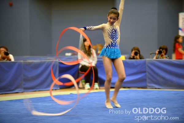 Gymnastics (385)