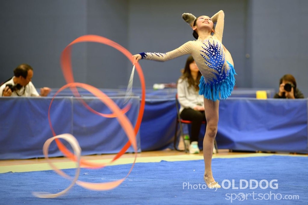Gymnastics (386)