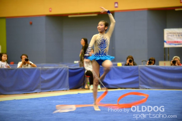 Gymnastics (387)