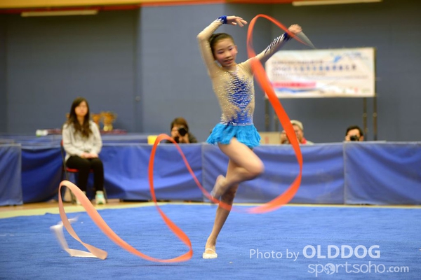 Gymnastics (388)
