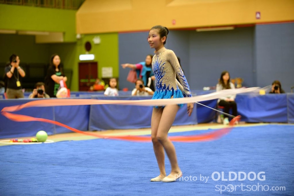 Gymnastics (389)