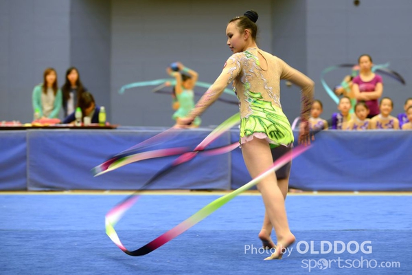Gymnastics (390)