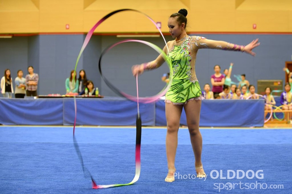 Gymnastics (392)