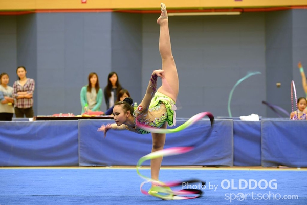 Gymnastics (393)