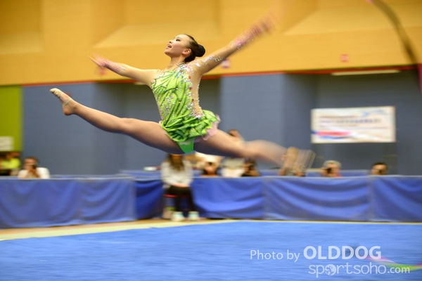 Gymnastics (394)