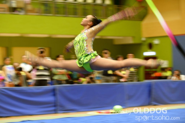 Gymnastics (395)