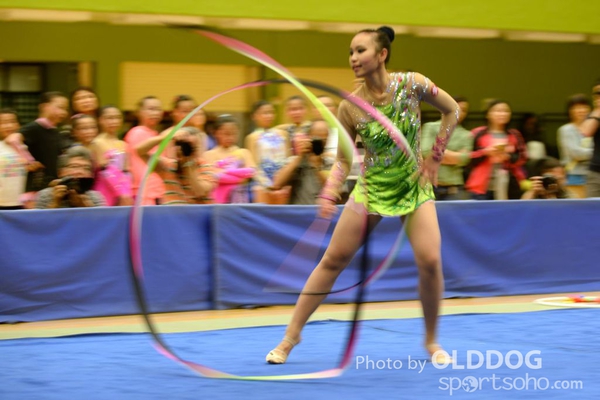 Gymnastics (396)