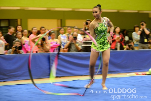 Gymnastics (397)
