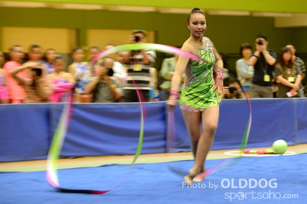 Gymnastics (398)
