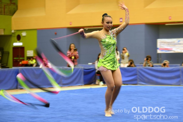 Gymnastics (399)