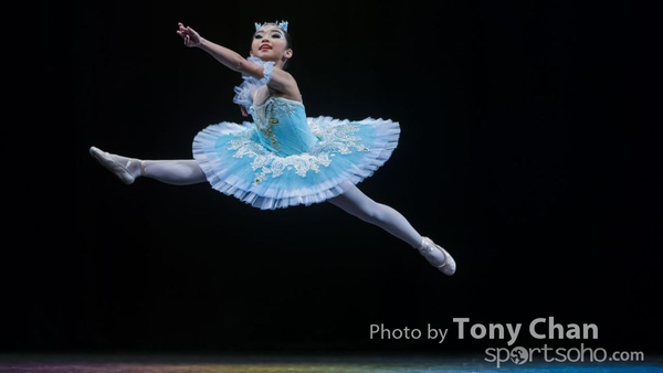 Solo2015C_030