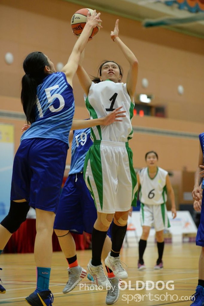 Basketball (50)