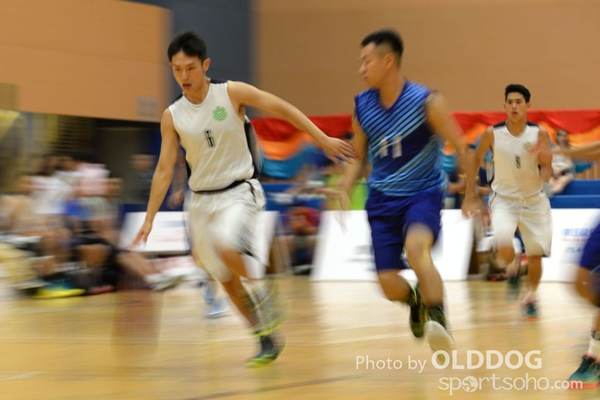 Basketball (80)