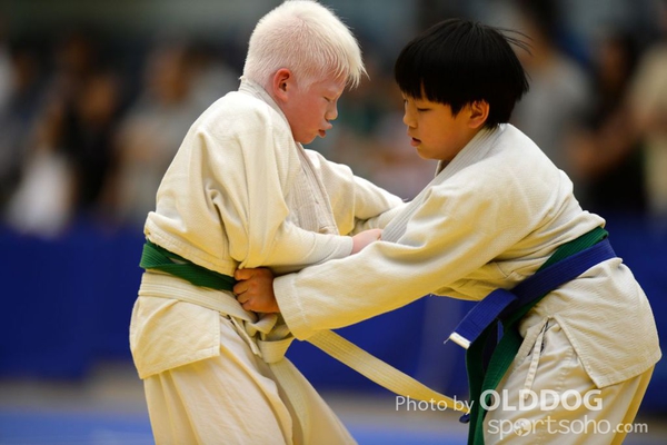 Judo (8)