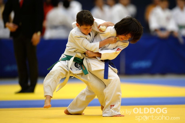 Judo (22)