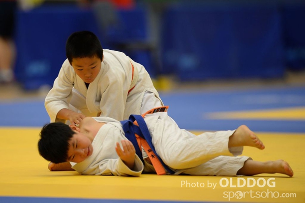 Judo (141)