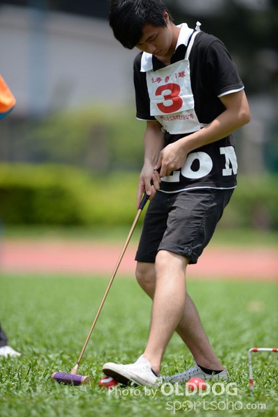 Gateball (20)