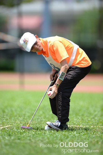 Gateball (40)