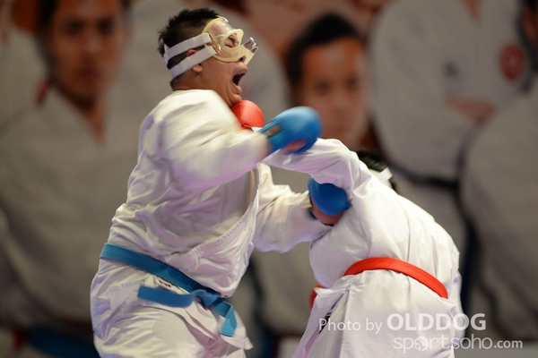 Karatedo (2)