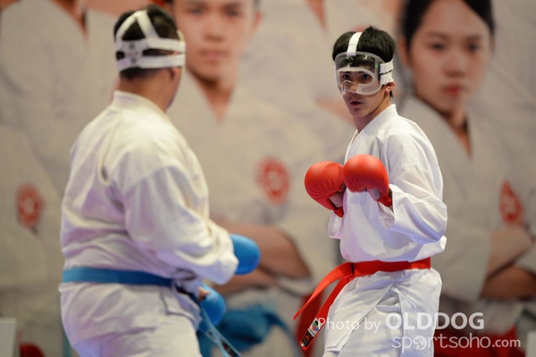 Karatedo (3)