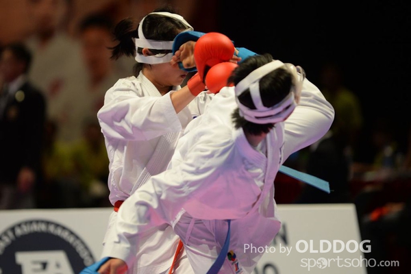 Karatedo (21)
