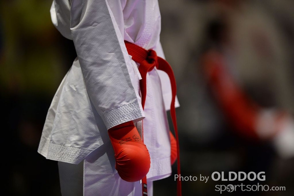 Karatedo (29)