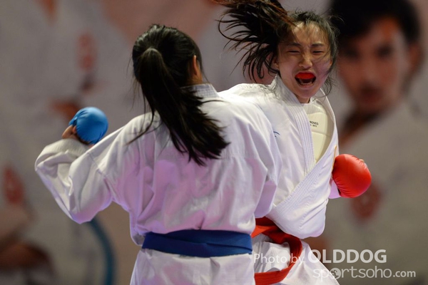 Karatedo (40)