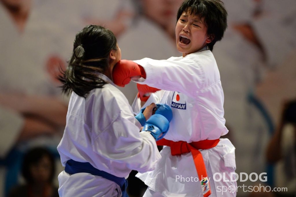 Karatedo (51)