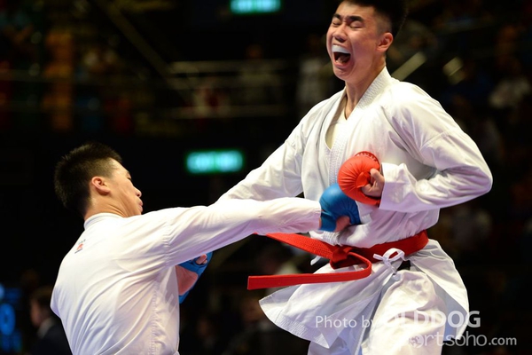 Karatedo (101)