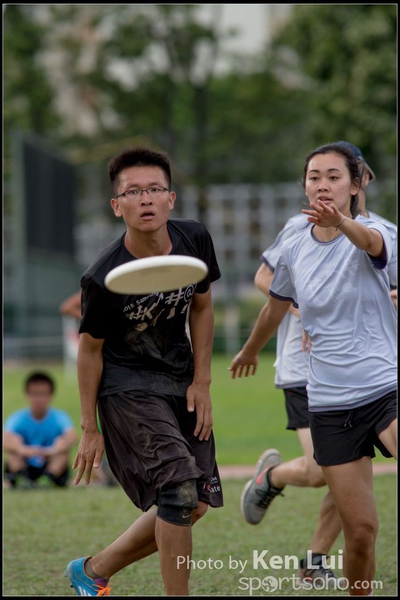 201506014disc1099