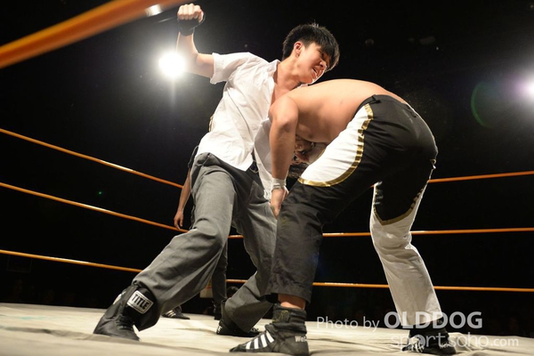 Wrestling (11)