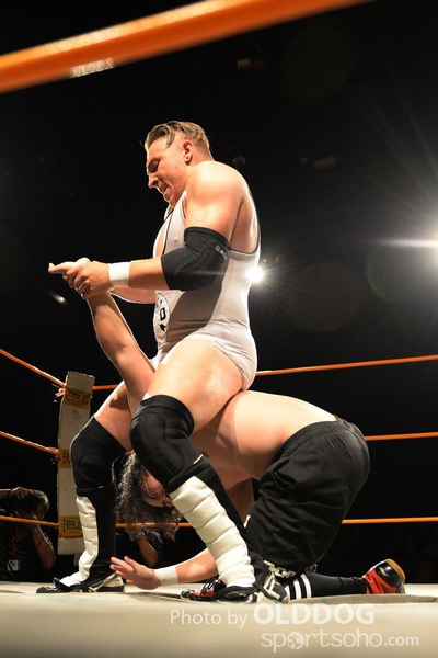Wrestling (28)