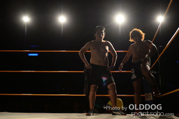 Wrestling (50)