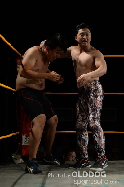 Wrestling (60)