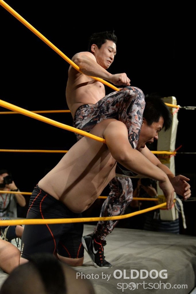 Wrestling (61)