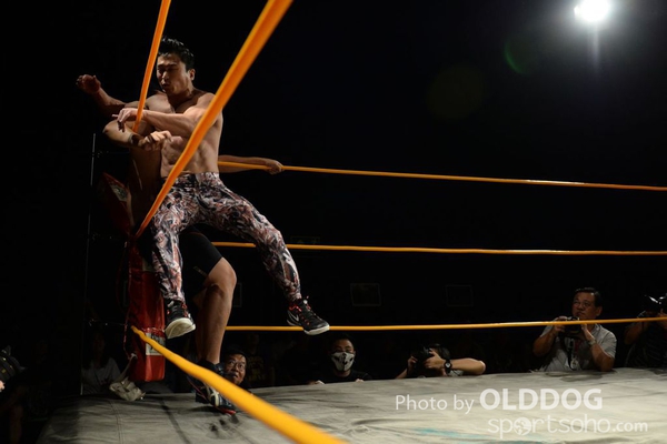 Wrestling (63)