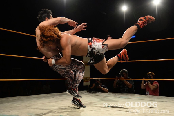 Wrestling (71)