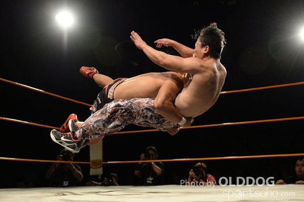 Wrestling (75)