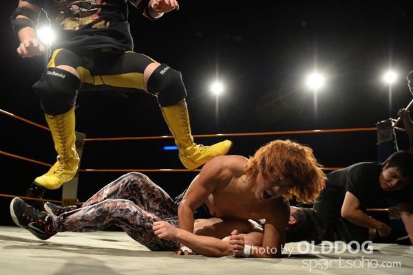 Wrestling (76)