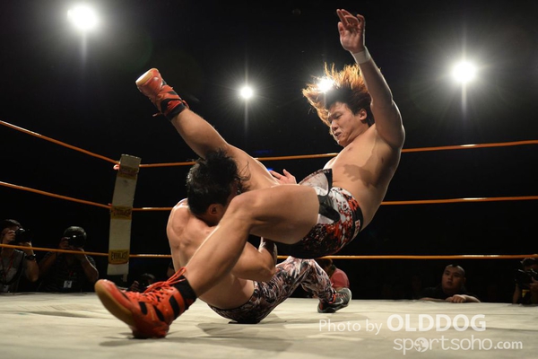 Wrestling (86)