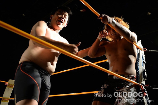 Wrestling (88)